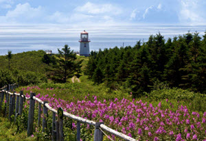 Gaspé Peninsula. Quebec, during summer Photo taken on: 30 Jul 2012